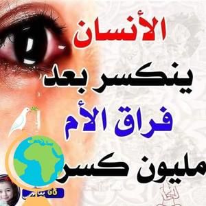 Meet your Posher, Walid